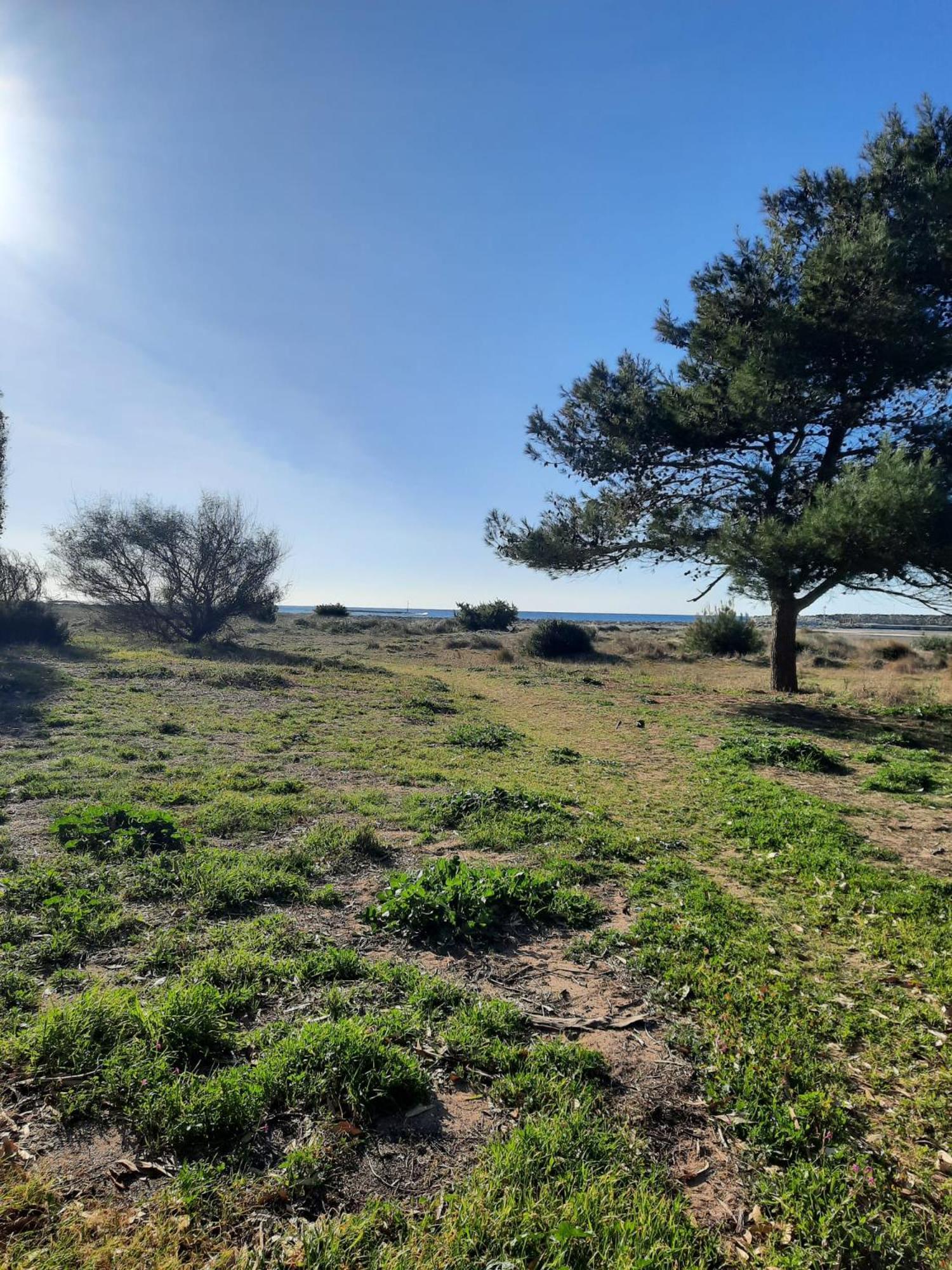 Апартаменты Fronte Mare Торре-Сан-Джованни-Удженто Экстерьер фото